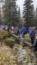 Eco week bridge